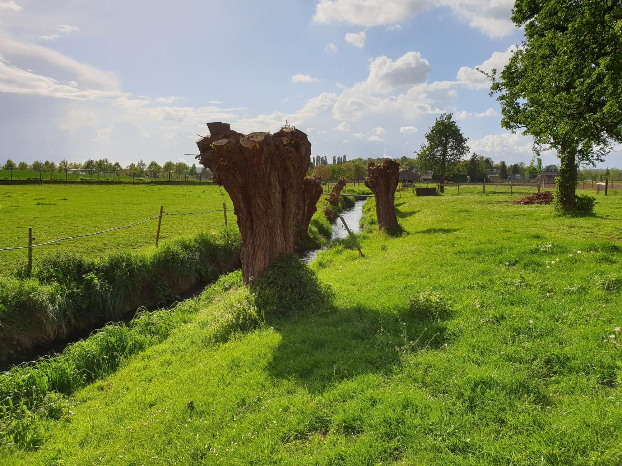 Meschermolen 13 Eijsden Exteriör bild